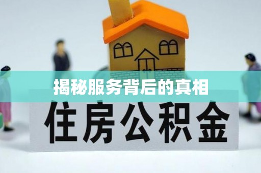 枞阳揭秘服务背后的真相