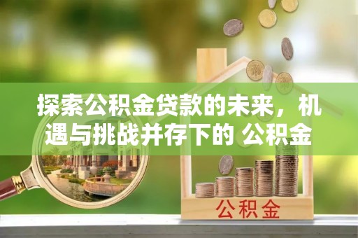 枞阳探索公积金贷款的未来，机遇与挑战并存下的 公积金贷款风险防控
