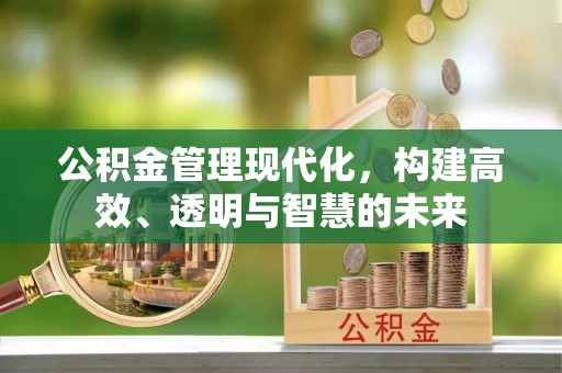 枞阳公积金管理现代化，构建高效、透明与智慧的未来