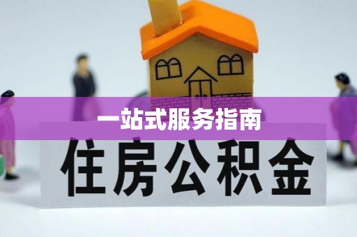 枞阳一站式服务指南