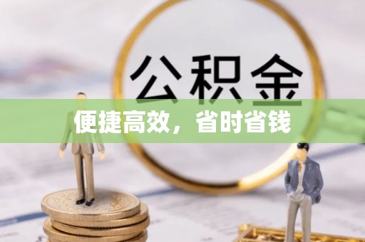 枞阳便捷高效，省时省钱