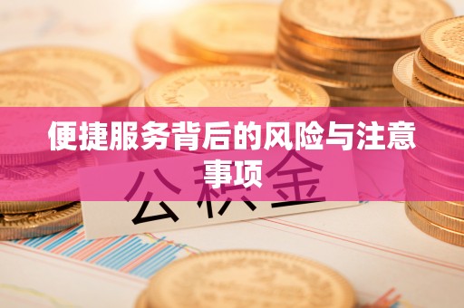 枞阳便捷服务背后的风险与注意事项