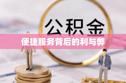 枞阳便捷服务背后的利与弊