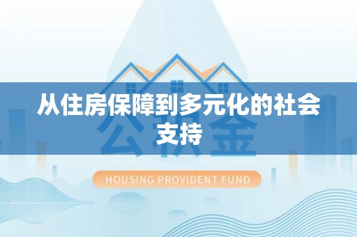 枞阳从住房保障到多元化的社会支持