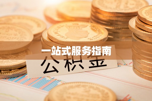 枞阳一站式服务指南