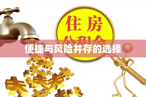 枞阳便捷与风险并存的选择